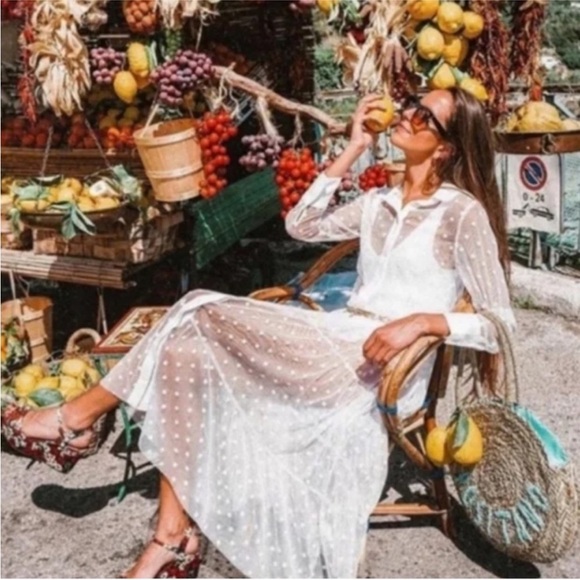 Zara Sheer White Polka Dot maxi Dress - Picture 5 of 13